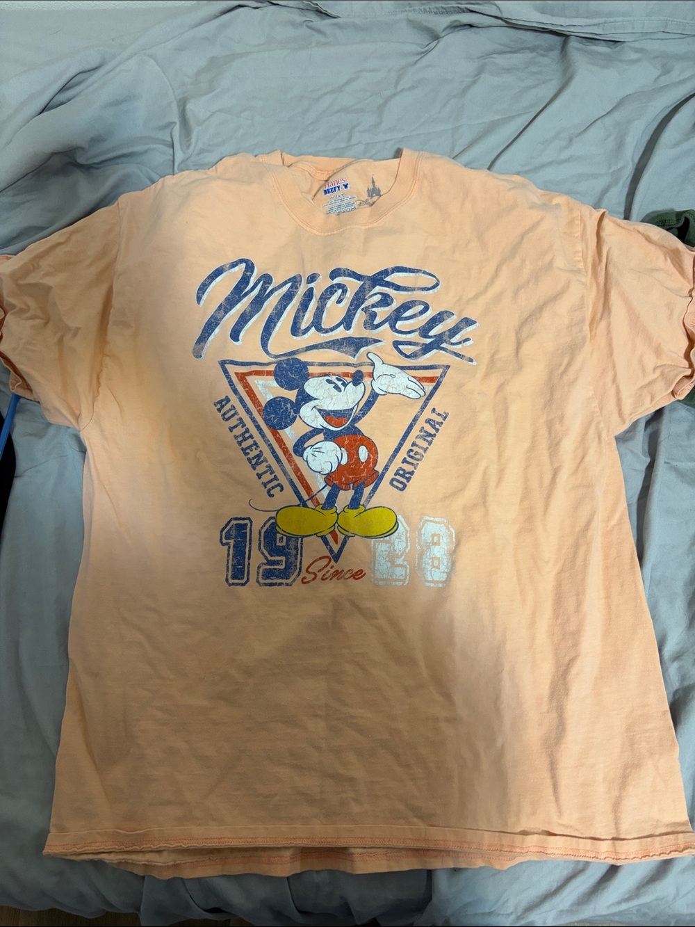Original disney parks shirt